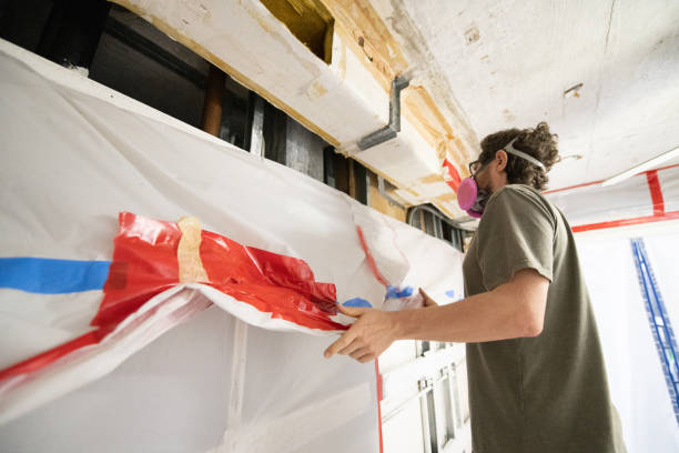 Mold Odor Removal Services in Eagle, CO