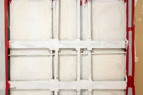 Best Commercial Mold Inspection  in Eagle, CO