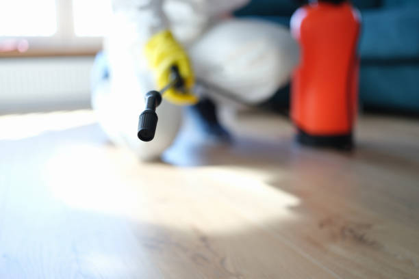 Best Mold Remediation for Healthcare Facilities  in Eagle, CO